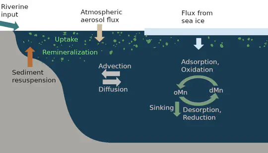 Trace element cycling in the Arctic Ocean